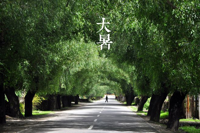 大(dà)暑丨葡園消煩暑，夢涼天地寬